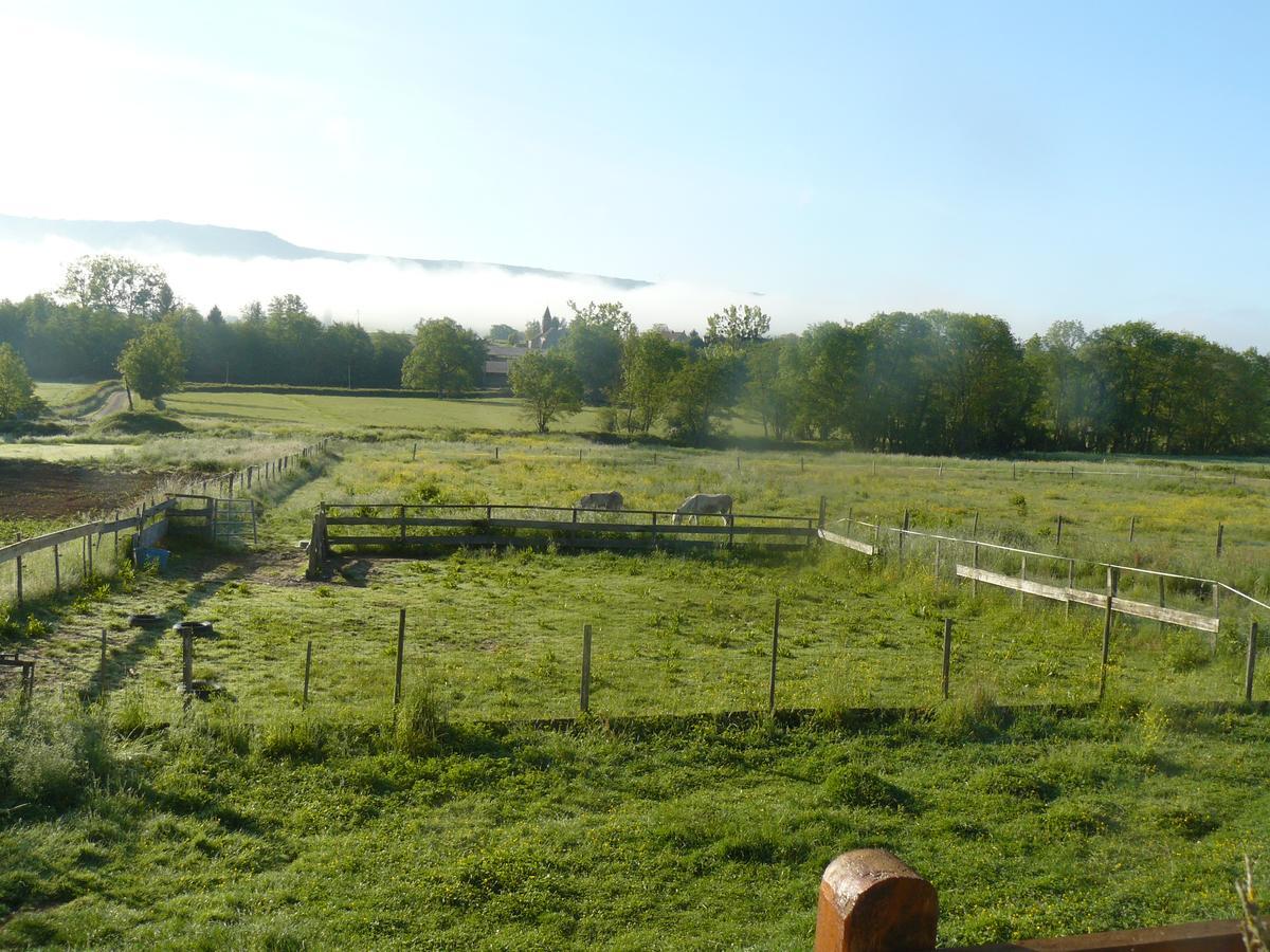 Chez Camille Bed & Breakfast Etrigny Luaran gambar